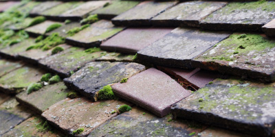 Four Roads roof repair costs